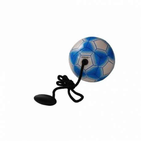 icoach Mini Training Ball